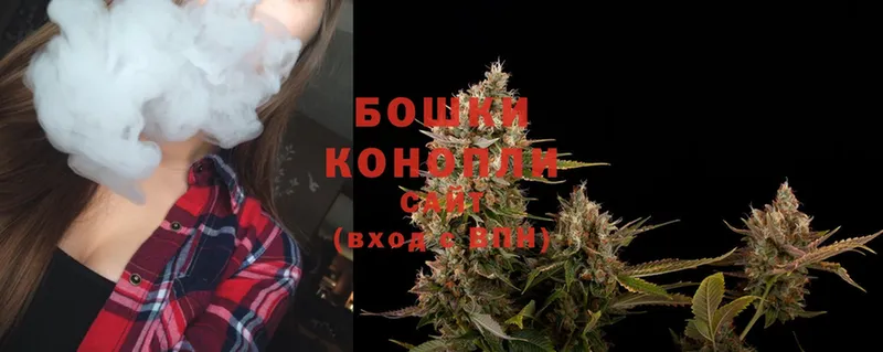 Бошки марихуана OG Kush  Кубинка 